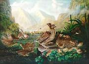 Robert Havell Jr Prints Pinnated Grouse oil painting picture wholesale